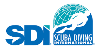 SDI Logo