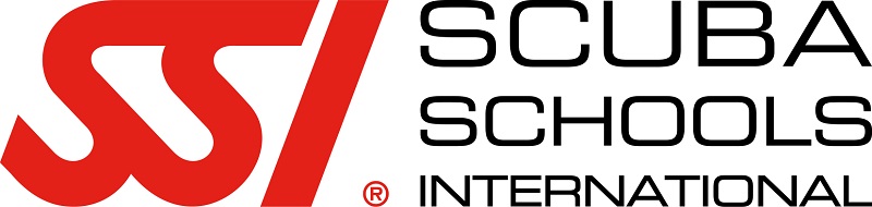 SSI Logo