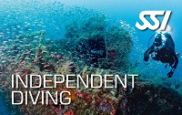 Independent Diver