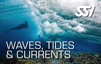 Waves Tides & Currents